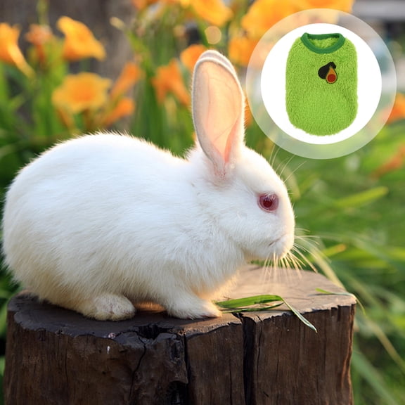 Hytrove 1Pc Small Pet Clothing Warm Flannel Rabbit Coat Breathable and Comfortable Green Apparel