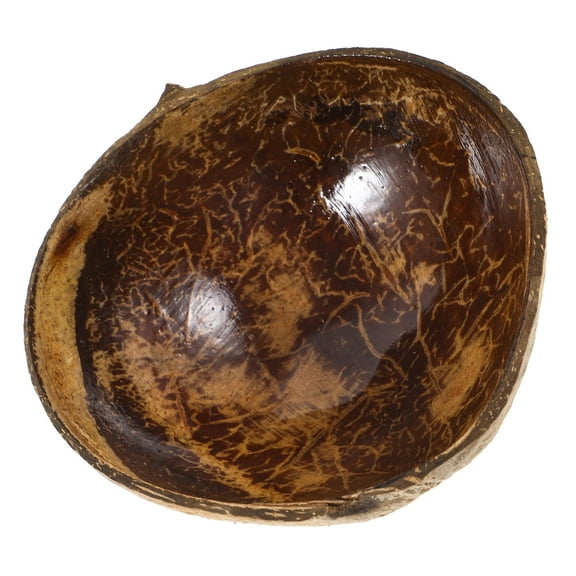 Hytrove Decor Bowl Coconuts Shell Bowl Nature Lovers Brown Home Decoration 1Pack