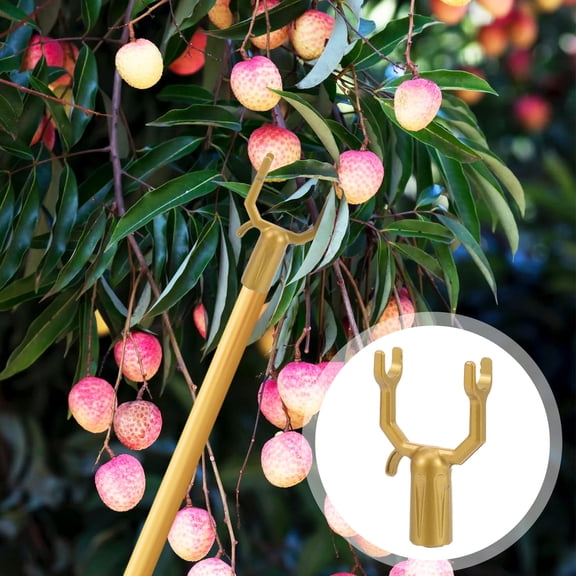 Hytrove 6 Pcs Plant Clips, Branch Straightening Tree Support Clips for Garden Plant Training, Stems, Vines and Young Trees
