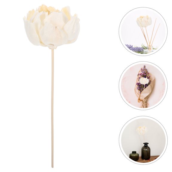 Hytrove Flower Shaped Aromatherapy Diffuser, Elegant Fragrance Diffuser for Home Decor, Weddings, Parties, Special Events, 1 Piece