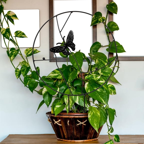 Hytrove Flower Vine Bracket Plant Climbing Trellis Black Metal 1Set Round Shaped