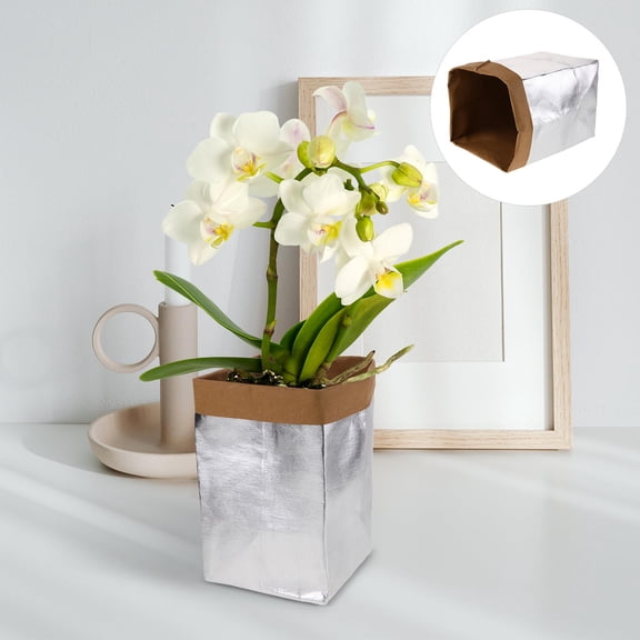 Hytrove Shopping Storage Bag Silver 1Pack Reusable