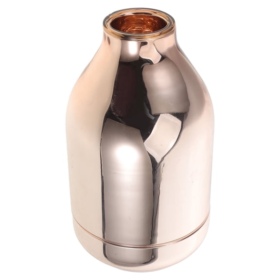 Hytrove Thermal Flask Insert Rose Plated Gold Glass for Home Use Pure Taste