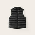 thumbnail image 1 of Hzgobj Boys Girls Small And Medium-sized Children's Clothing Children's Light And Thin Style Shoulder Stand Up Collar Solid Color Warm Down Horse Jacket for 4-16Y, 1 of 3