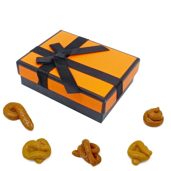 Hzrsly Hilarious Prank Gift Box with Realistic Fake Poop for Office Parties Birthday Jokes Family Surprises Ultimate Gag Gift for Unforgettable Reactions