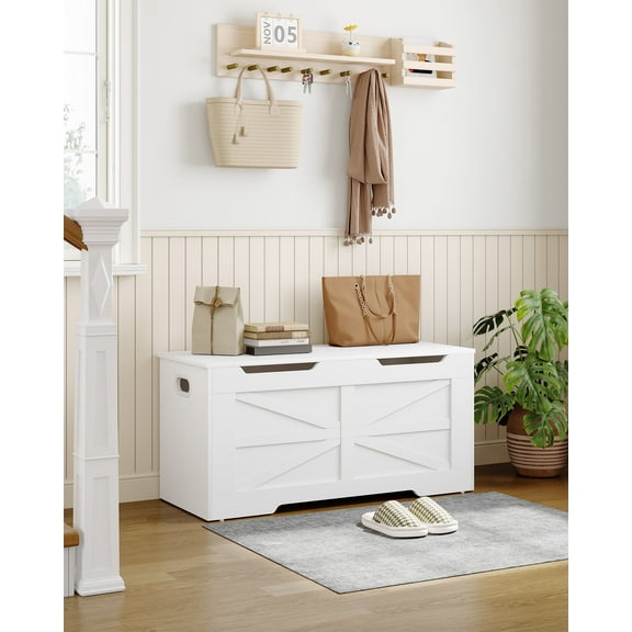 Hzuaneri 39.4" Storage Bench, Lift-Top Storage Organizer, Storage Trunk, White SB03403X