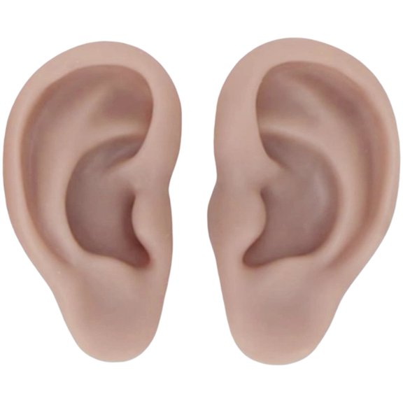Hzzsbu 1 Pair Silicone Ear Model Soft Simulation Ear Model Artificial Ear Mold For Earrings Display Ear Piercing Exercise