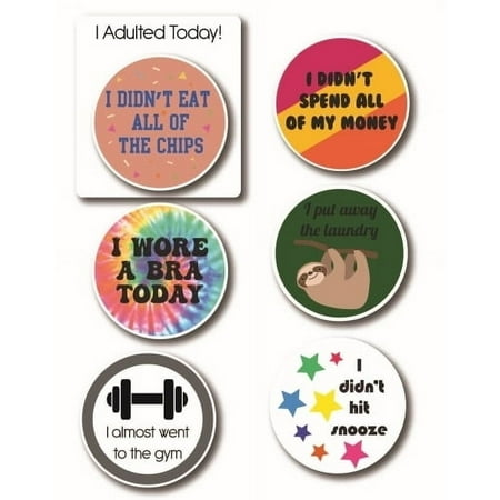 I Adulted Magnet 5 Pack. Includes 1-3.5"x4" Square Magnet and 5- 3" Mini circles.