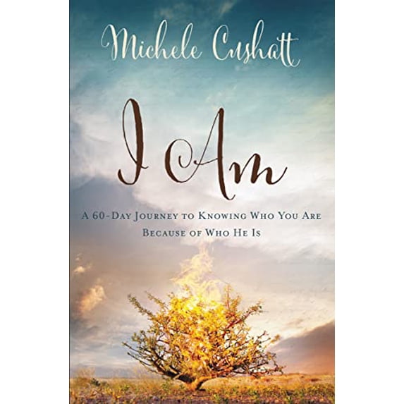 Pre-Owned I Am: A 60-Day Journey to Knowing Who You Are Because of Who He Is, 9780310339809, 0310339804, Paperback,