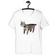 I Am Contaminated With Radiation Cat Funny Oddly Specific TShirt, Size