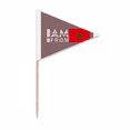 thumbnail image 1 of I Am From Morocco Art Deco  Fashion Toothpick Triangle Cupcake Toppers Flag, 1 of 3
