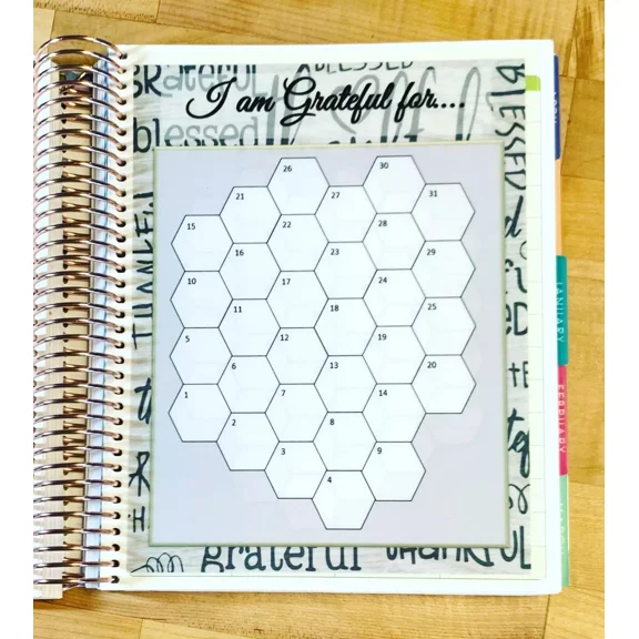*I Am Grateful For* (Monthly) Two Sided Dashboard For Use W Erin Condren Planner