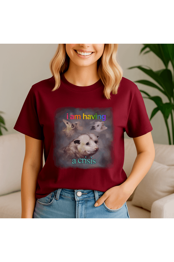 I Am Having A Crisis Possum Word Shirt, Meme Tee, Trending Tshirt, Funny Friend Gift, Quote Cute