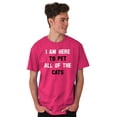 thumbnail image 1 of I Am Here to Pet All of the Cats Plus Size Crewneck Graphic Tee Shirt Brisco Brands 3X, 1 of 2