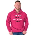 thumbnail image 1 of I Am Here to Pet All of the Cats Unisex Plus Fleece Graphic Hoodie Brisco Brands 2X, 1 of 3