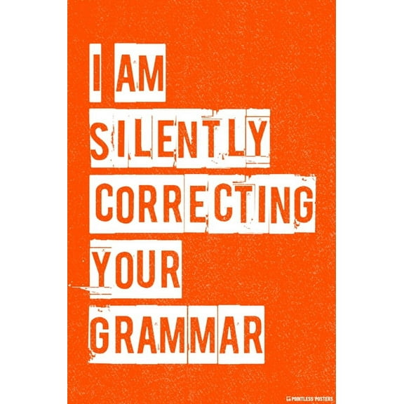 I Am Silently Correcting Your Grammar Poster