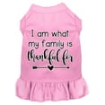 thumbnail image 1 of Pet Dog  Cat Dress Screen Printed, "I Am What My Family Is Thankful For", 1 of 10