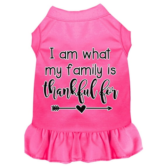 Pet Dog Cat Dress Screen Printed, "I Am What My Family Is Thankful For"