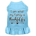 thumbnail image 1 of Mirage Pet I Am What My Family is Thankful For Screen Print Dog Dress Baby Blue Lg, 1 of 10