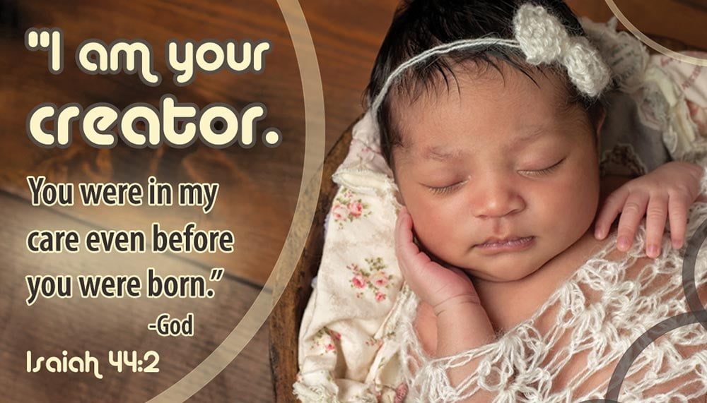I Am Your Creator, Business Card Pro-Life Magnet (Pack of 50)