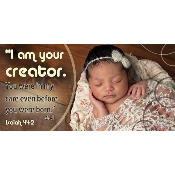 I Am Your Creator Pro-Life Vinyl Sign