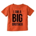 thumbnail image 1 of I Am a Big Brother Cute Siblings Youth T Shirt Tee Boys Infant Toddler Brisco Brands 12M, 1 of 5
