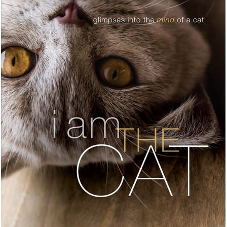 Pre-Owned I Am the Cat (Hardcover) 1944833021 9781944833022