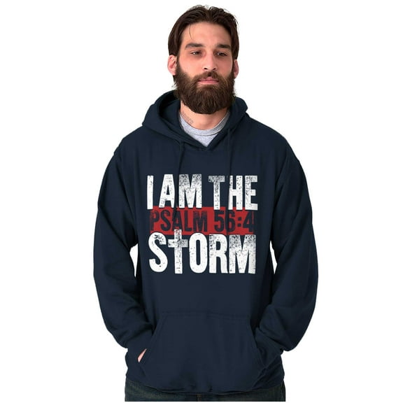 I Am the Storm Psalm 56 Scripture Unisex Plus Size Hoodie Brisco Brands 4X