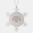 thumbnail image 1 of I Became a Biologist for The Money. Snowflake Ornament, Biologist Christmas Ornament, Appreciation Gifts for Biologist from Boss, Science, Nature, Gift Ideas, Unique Gifts, Birthday, 1 of 3