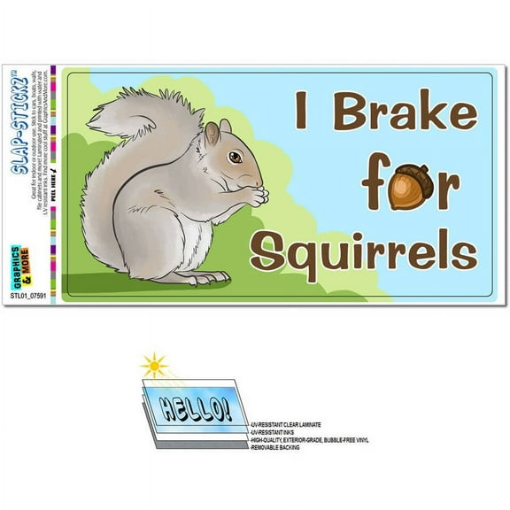 I Brake for Squirrels Funny Automotive Car Window Locker Bumper Sticker