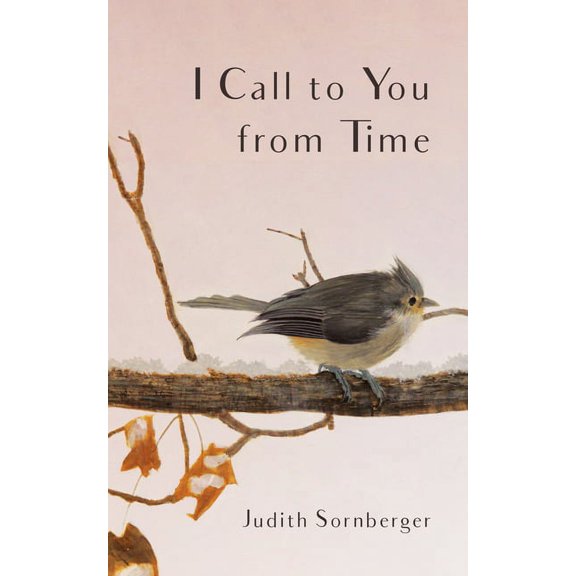 I Call to You from Time (Hardcover)