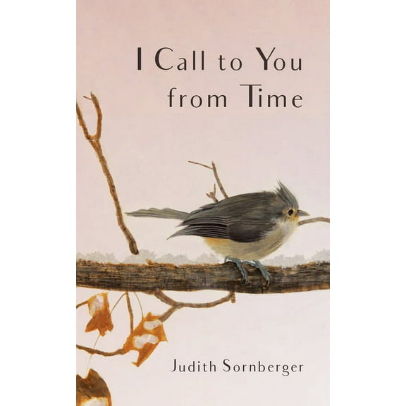 I Call to You from Time (Paperback)