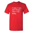 thumbnail image 1 of I Came I Saw I Forgot What I Was Doing Sarcastic Hilarious Tshirt Fit Well Novelty Graphic Funny Tee For Adult Humor Holiday Anniversary Birthday, 1 of 5