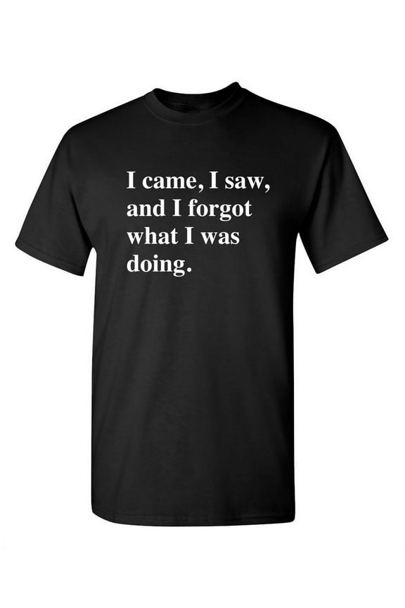 I Came I Saw I Forgot What I Was Doing Sarcastic Hilarious Tshirt Fit Well Novelty Graphic Funny Tee For Adult Humor Holiday Anniversary Birthday