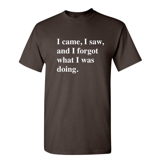 I Came I Saw I Forgot What I Was Doing Sarcastic Hilarious Tshirt Fit Well Novelty Graphic Funny Tee For Adult Humor Holiday Anniversary Birthday