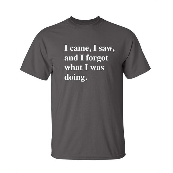 I Came I Saw I Forgot What I Was Doing Sarcastic Hilarious Tshirt Fit Well Novelty Graphic Funny Tee For Adult Humor Holiday Anniversary Birthday