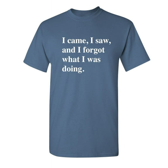 I Came I Saw I Forgot What I Was Doing Sarcastic Hilarious Tshirt Fit Well Novelty Graphic Funny Tee For Adult Humor Holiday Anniversary Birthday