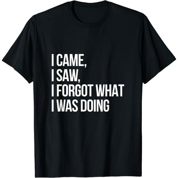 I Came I Saw I Forgot What I Was Doing T-Shirt