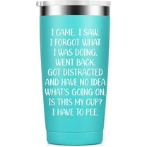 I Came I Saw Tumbler for Women - Funny Tumbler for Women - Fun Birthday Gifts for Women, Sister, Mom, Bestie, Female Coworkers, 20 Oz Stainless Steel Insulated Funny Water Tumbler, Mint