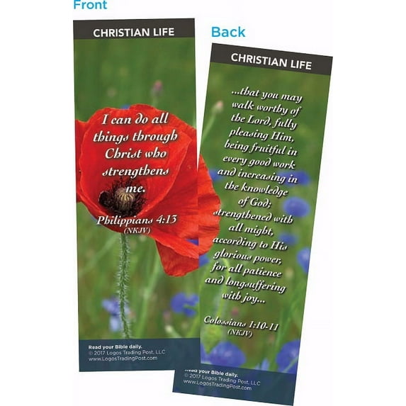 Bible Cards-I Can Do All-Christian Life (Pk/25)