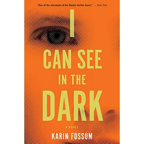 Pre-Owned I Can See in the Dark (Paperback) 0544483987 9780544483989