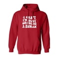 thumbnail image 1 of I Can't I'm Busy Growing a Human Adult Hooded Sweatshirt, 1 of 3