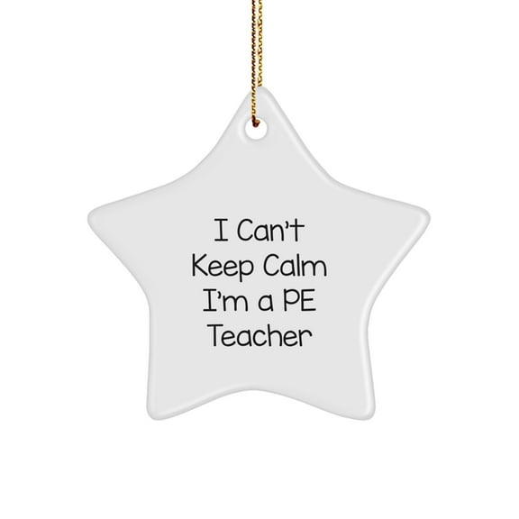 I Can't Keep Calm I'm A PE Teacher Gifts from Men to PE Teachers, Funny Star Ornament for Christmas Unique Gifts