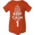 thumbnail image 1 of I Can't Keep Calm I'm Only One Years Old Birthday Cake Cute Baby Bodysuit Orange, 1 of 4