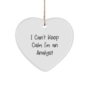 I Cant Keep Calm Im an Analyst Christmas Heart Ornament Gifts from Men for Coworkers