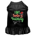 thumbnail image 1 of Christmas Pet Dog  Cat Dress Screen Printed, "I Can't, Santa Is Watching", 1 of 10