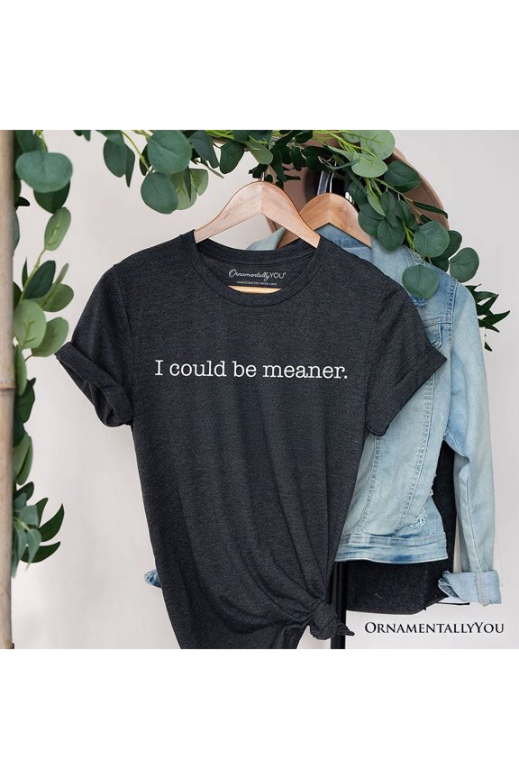 I Could Be Meaner T-Shirt, Sarcastic Quote Minimalist Tee