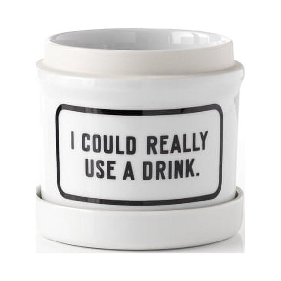 I Could Really Use A Drink Planter w/ Drip Tray (Other)