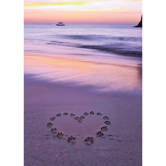 I Didn't Choose You My Heart Did Valentine's Greeting Card