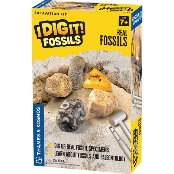 I Dig It! Fossils - Real Fossils Excavation Kit